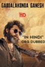 Gaddalakonda Ganesh (2019) Download Web-dl [Hindi ORG & Telugu] Dual Audio | 480p 720p 1080p
