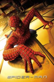 Spider-Man (2002) BluRay Dual Audio [Hindi & English] 480p 720p | Full Movie