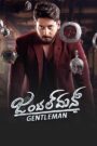 Gentleman (2020) WEB-DL Hindi Dubbed Full Movie | 480p 720p 1080p