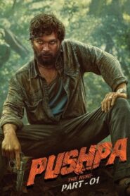 Pushpa: The Rise – Part 1 (2021) WEB-DL Multi Audio [Hindi,Telugu,Kanada, Malayalam & Tamil] Full Movie | 4KUHD 480p 720p 1080p