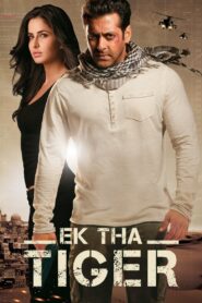 Ek Tha Tiger (2015) BluRay Hindi Full Movie | 480p 720p 1080p