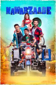 Nawabzaade (2018) Download WEB-DL Hindi Full Movie | 480p 720p 1080p