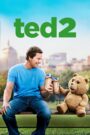 Ted 2 (2015) Download BluRay Dual Audio [Hindi & English] Full Movie | 480p 720p 1080p