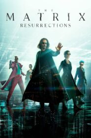 The Matrix Resurrections (2021) Download WEB-DL [Hindi DD5.1 & English] Dual Audio | 480p 720p 1080p