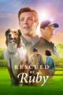 Rescued by Ruby (2022) Download Web-dl [Hindi & English] Dual Audio | 480p 720p 1080p