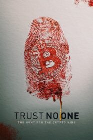 Trust No One: The Hunt for the Crypto King (2022) Download Web-dl [Hindi & English] Dual Audio | 480p 720p 1080p