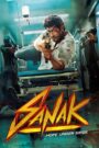 Sanak (2021) Download Web-dl Hindi Movie | 480p 720p 1080p