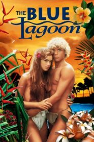 The Blue Lagoon (1980) Download BluRay [Hindi & English] Dual Audio | 480p 720p 1080p