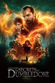 Fantastic Beasts: The Secrets of Dumbledore (2022) Download WEB-DL [Hindi ORG & English] Dual Audio | 480p 720p 1080p