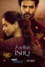 Aadha Ishq (Season 1) Download WEB-DL Hindi Complete All Episodes | 480p 720p 1080p