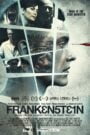Frankenstein (2015) Download BluRay [Hindi & English] Dual Audio | 480p 720p 1080p