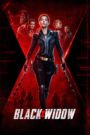 Black Widow (2021) Download Web-dl [Hindi & English] Dual Audio | 480p 720p 1080p