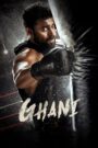 Ghani (2022) Download WEB-DL Telugu Movie | 480p 720p