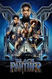 Black Panther (2018) Dual Audio [Hindi & English] Full Movie Download | IMAX BluRay 480p 720p 1080p